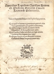 Speculum Lapidum Clarissimi Artium